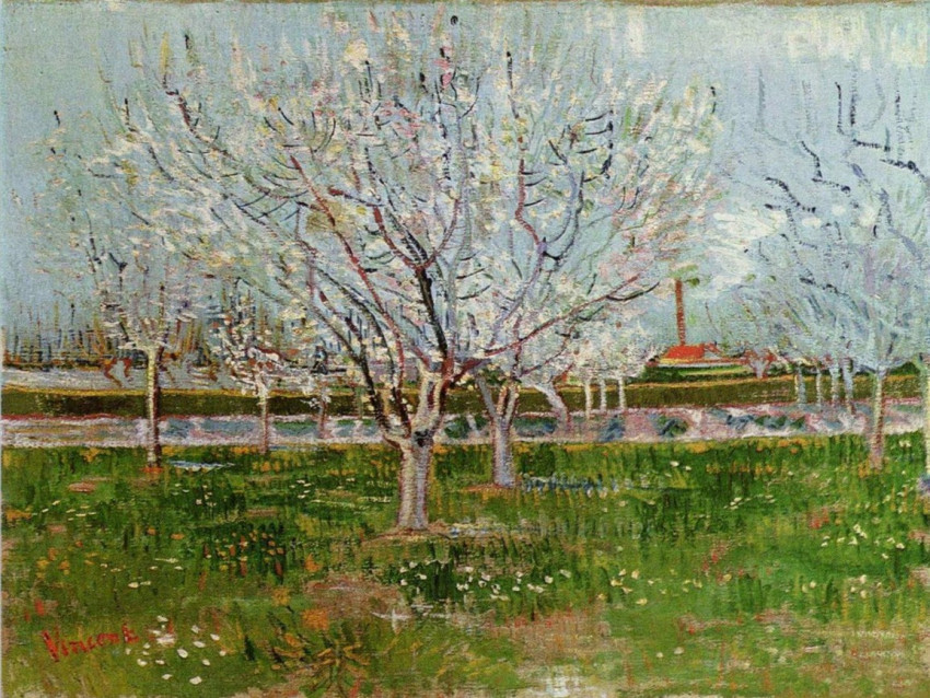 Tapeta orchard-in-blossom.jpg