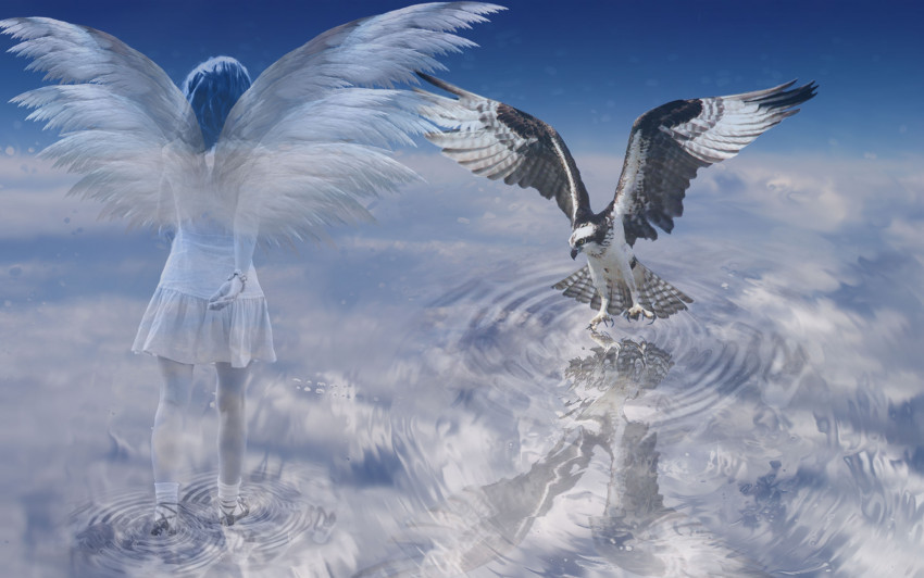 Tapeta Orzeł i anioł