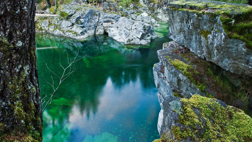 Tapeta Rzeka