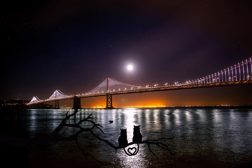 Tapeta San Francisco i widok na most Golden Gate i niebo