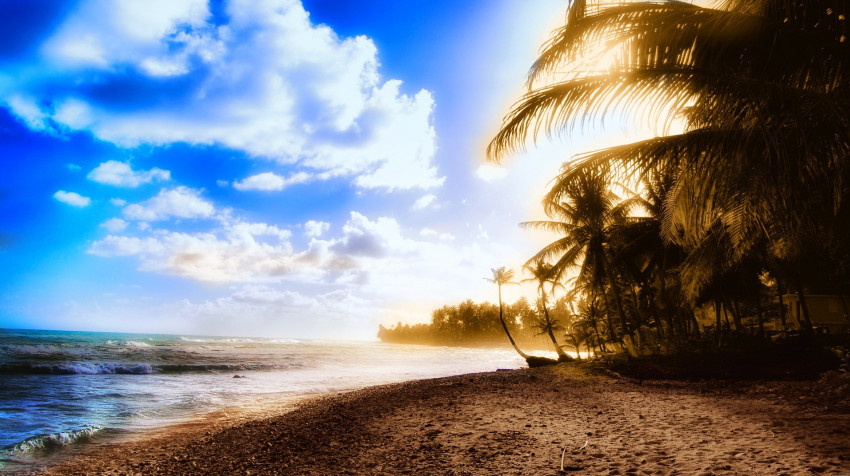 Tapeta Słoneczna wyspa z palmami