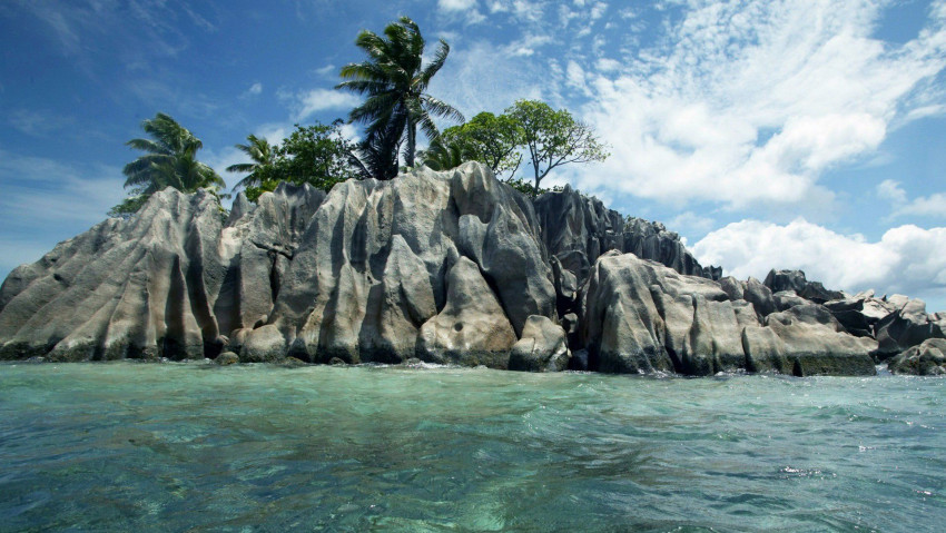 Tapeta Wyspa z palmami