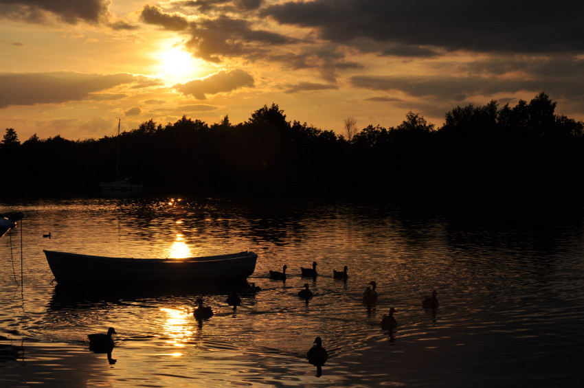 Tapeta Zachód słońca nad rzeką i kaczki