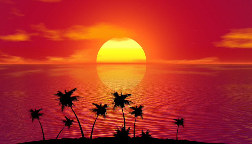 Tapeta Zachód słońca, ocean, tropiki, palmy