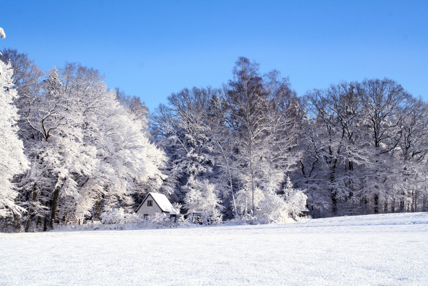 Tapeta Zima, Śnieg, drzewa i domek