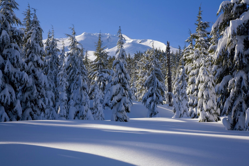 Tapeta Zima w górach, ośnieżone drzewa
