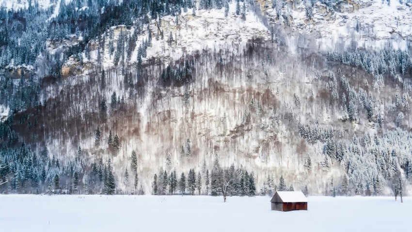 Tapeta Zima w Niemczech, góry i drzewa