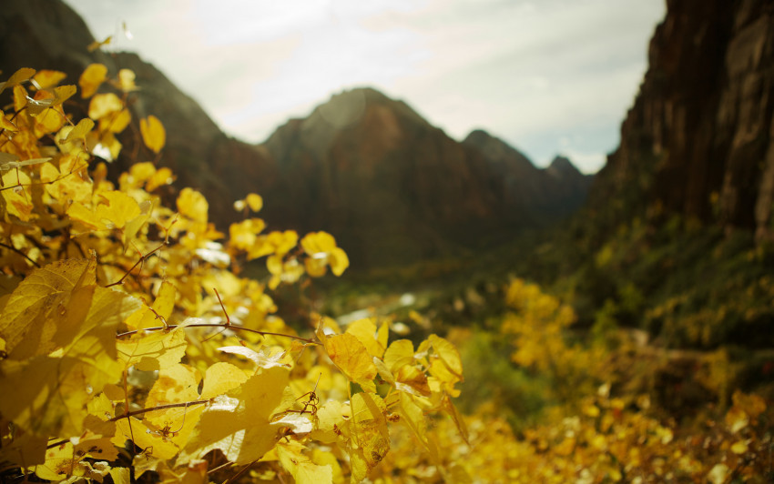 Tapeta Złota jesień w górach