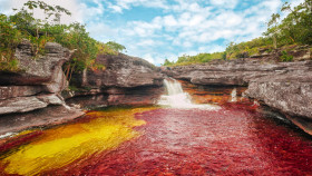 Tapeta Caño Cristales