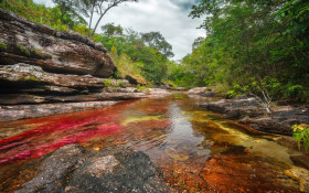 Tapeta Caño Cristales