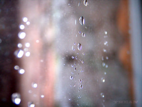 Tapeta deszcz na szybie