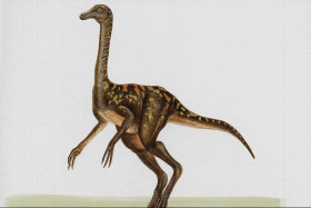 Tapeta dinozaury (46).jpg