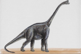 Tapeta dinozaury (59).jpg