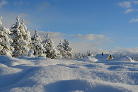 Tapeta Domek w śniegu i ośnierzone drzewa