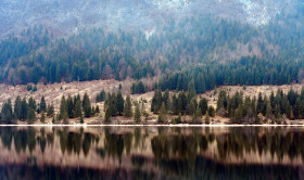 Tapeta Drzewa odzwierciedlone w jeziorze alpejskim