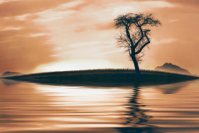 Tapeta Drzewo, charakter, jezioro