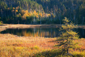 Tapeta Kolory jesieni wokół jeziora