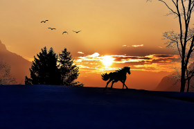 Tapeta Koń i zachód słońca w górach zimą, Malarstwo