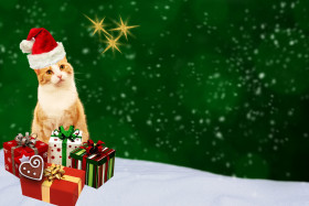 Tapeta Kot i prezenty w Święta
