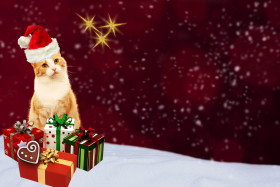 Tapeta Kot i prezenty w Święta Bożego Narodzenia