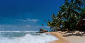 Tapeta Krajobraz morski z palmami na plaży