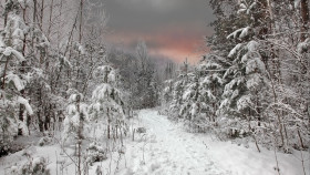 Tapeta Krajobraz zima 15
