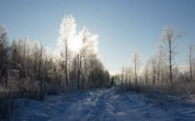Tapeta Krajobraz zima 19