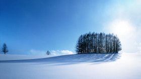 Tapeta Krajobraz zima 29