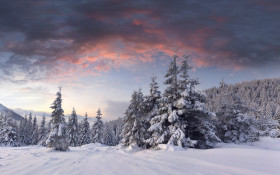 Tapeta Krajobraz zima 3