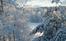 Tapeta Krajobraz zima 94