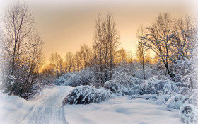 Tapeta Krajobraz zimowy