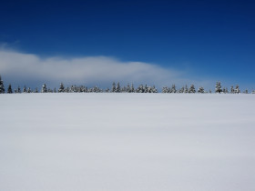 Tapeta Krajobraz zimowy, Śnieg