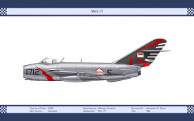 Tapeta modele-samolotow (147).jpg