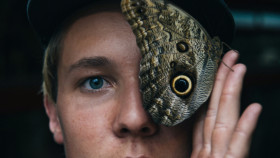 Tapeta Motyl z pawicowatych przy oku mężczyzny