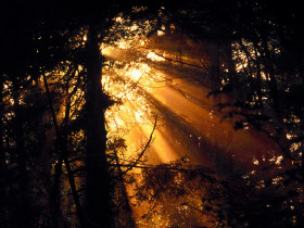 Tapeta Mystic Sunbeams, Olympic National Park, Washington.jpg