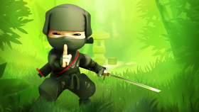 Tapeta Ninja (8).jpg