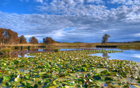 Tapeta Piękny krajobraz 54