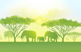 Tapeta Piękny świat, Rodzina Elephant