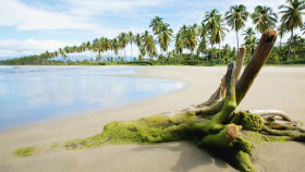 Tapeta plaża