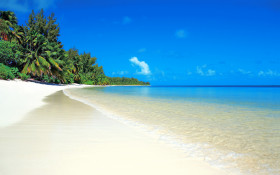 Tapeta Plaża z palmami i błękit morza