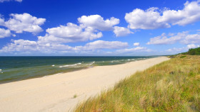 Tapeta Rośliny i plaża nad morzem