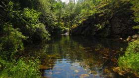Tapeta rzeka