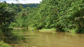 Tapeta rzeka