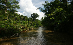 Tapeta Tapeta rzeka 21