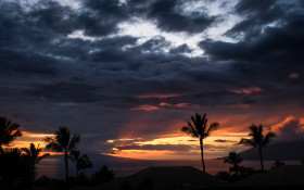 Tapeta Zachód słońca z palmami i oceanem